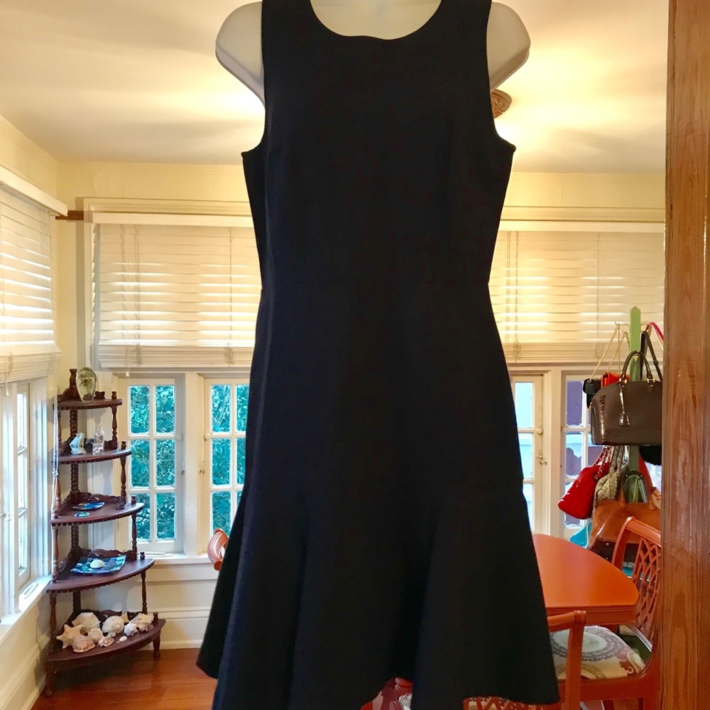 J Crew Navy Ponte Fit & Flare Dress